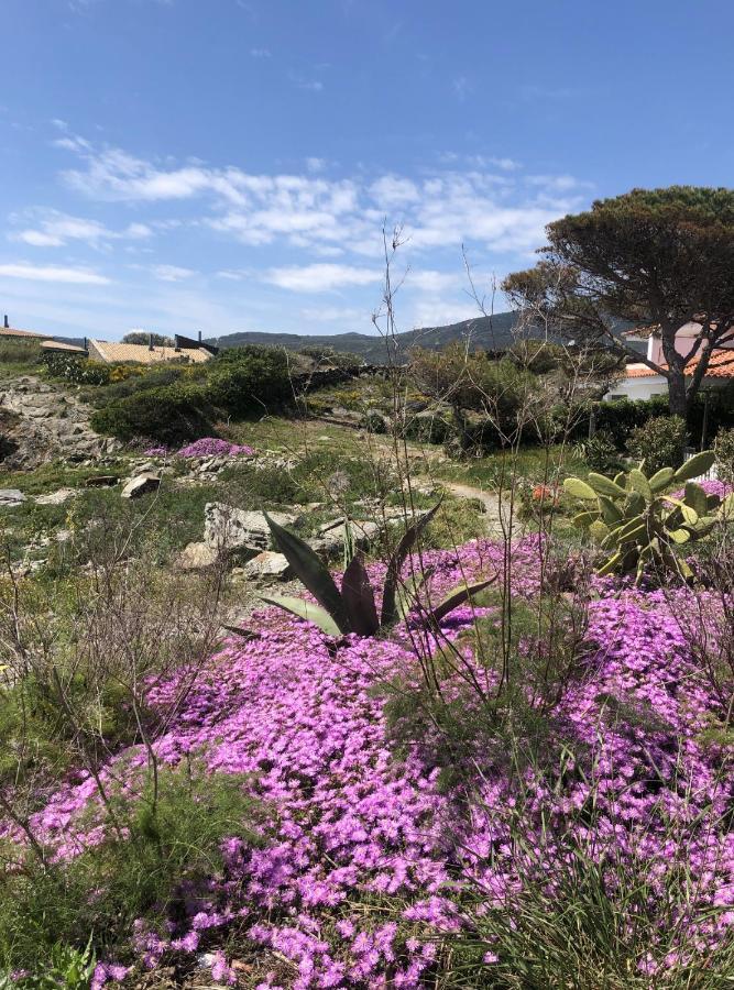 Beachfront Duplex With Terrace And Sea Views - Cadaqués Eksteriør billede