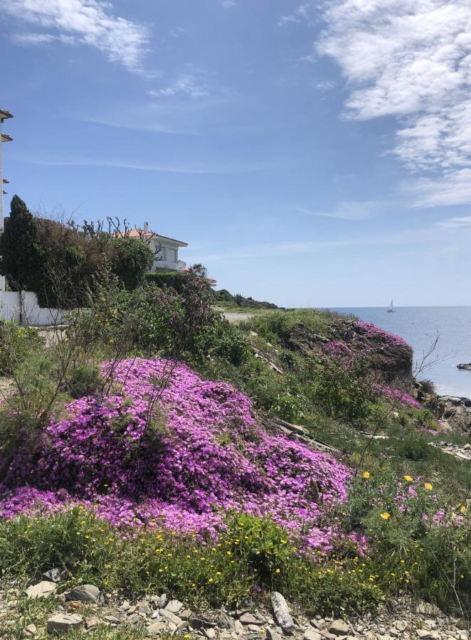 Beachfront Duplex With Terrace And Sea Views - Cadaqués Eksteriør billede
