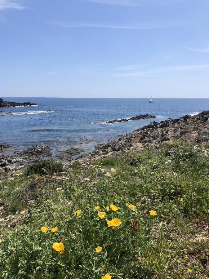 Beachfront Duplex With Terrace And Sea Views - Cadaqués Eksteriør billede