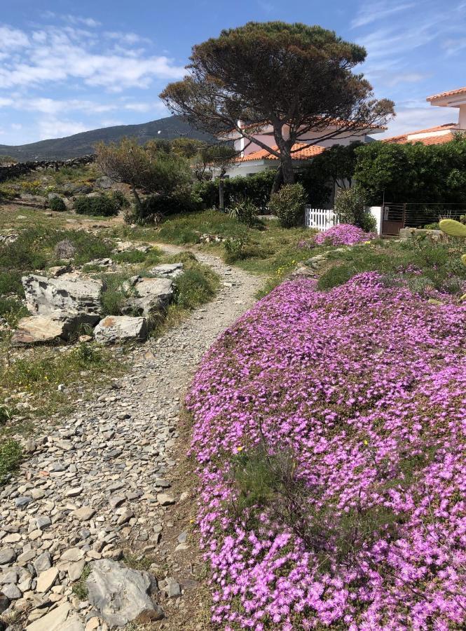 Beachfront Duplex With Terrace And Sea Views - Cadaqués Eksteriør billede